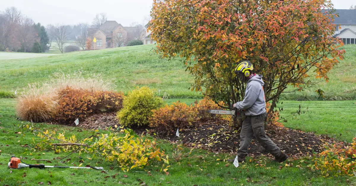 Shrub Trimming and Removal in Cincinnati, OH