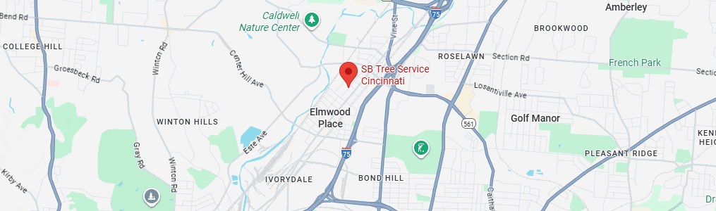 contact s.b. tree service cincinnati