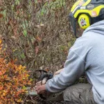 Shrub Removal & Trimming