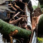 24/7 Emergency Tree Service & Storm Cleanup