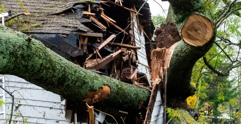 24/7 Emergency Tree Service & Storm Cleanup