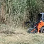 Land Clearing & Specialty Services
