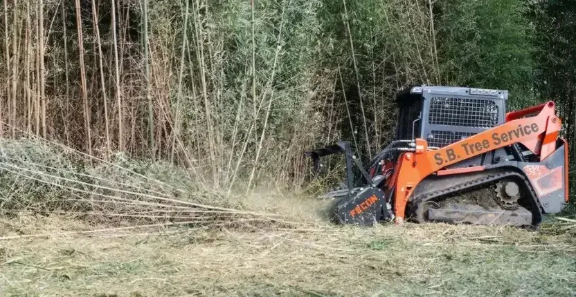 Land Clearing & Specialty Services