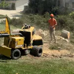 Stump Removal & Stump Grinding