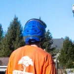 How Much Does Tree Removal Cost in Cincinnati?