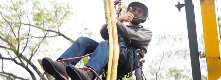 About S. B. Tree Service Cincinnati