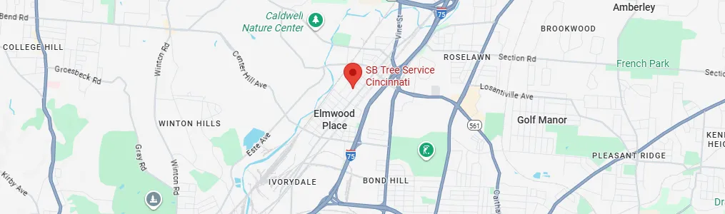 contact s.b. tree service cincinnati