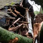 24/7 Emergency Tree Service & Storm Cleanup