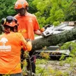 Land Clearing & Specialty Services