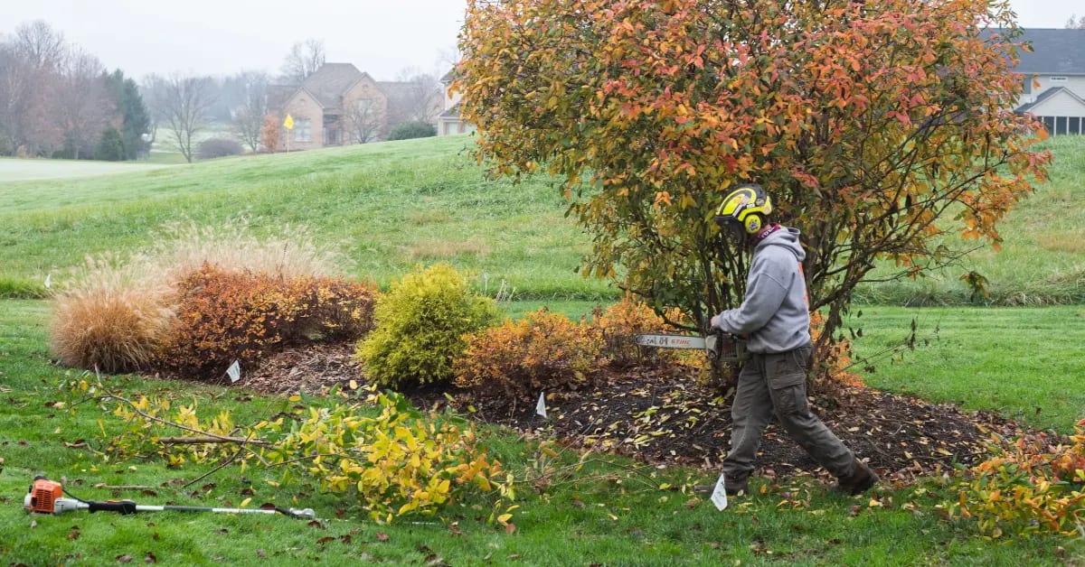 Shrub Trimming and Removal in Cincinnati, OH
