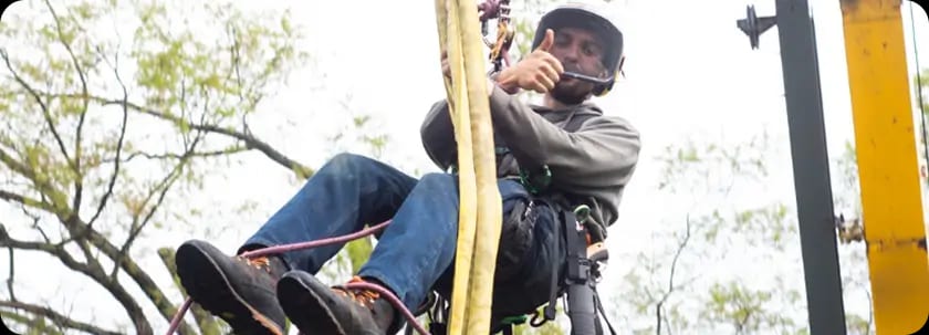 About S. B. Tree Service Cincinnati