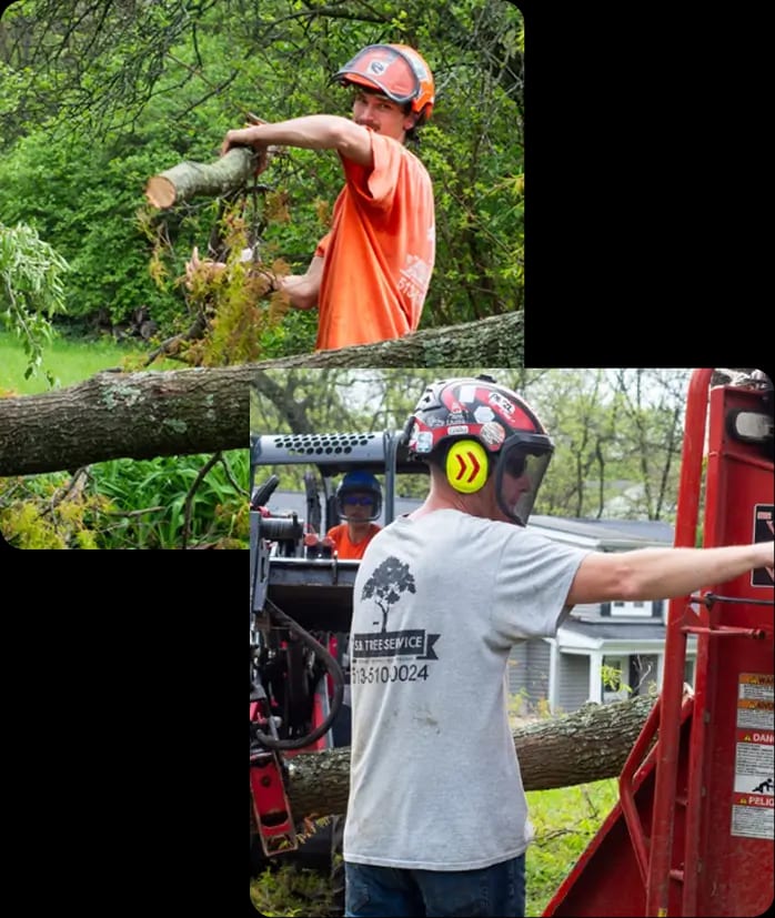 About SB Tree Service