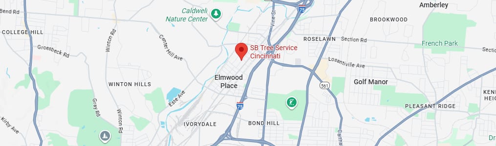 contact s.b. tree service cincinnati