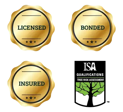 Licensed - Bonded - Insured - ISA TRAQ